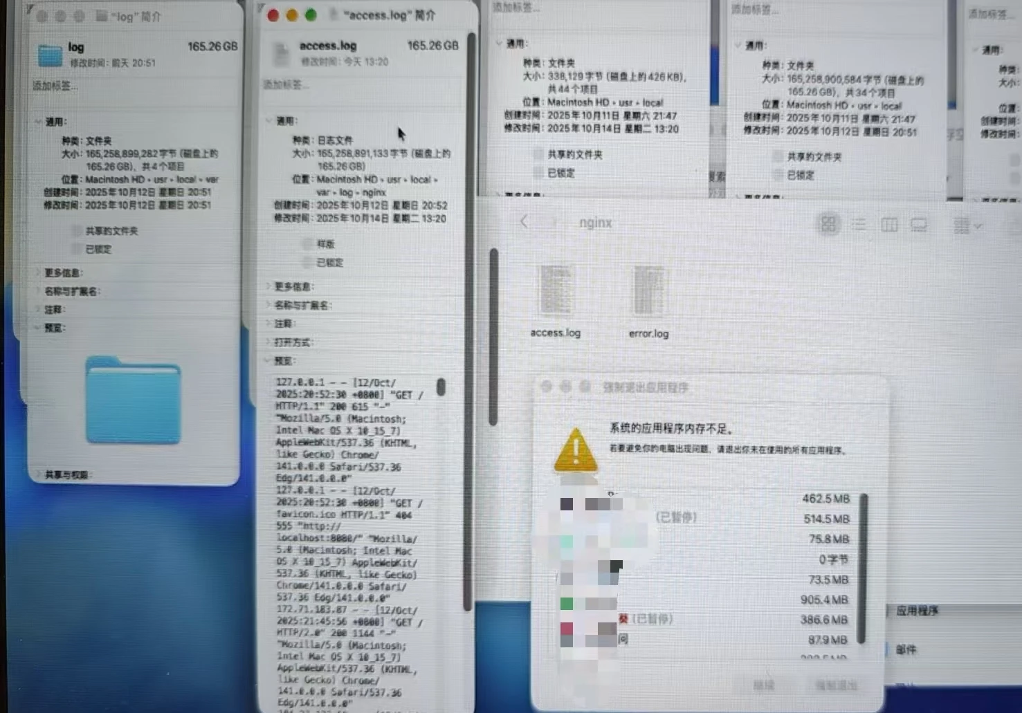 165gb的nginx access.log文件